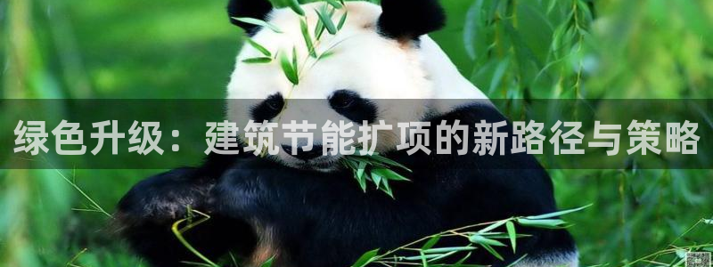 e尊国际app：绿色升级：建筑节能扩项的新路径与策略