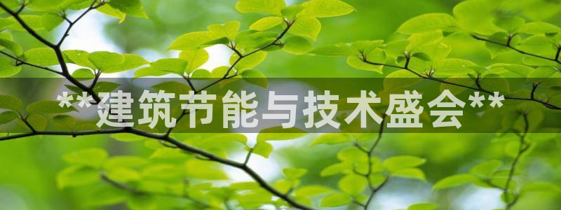 e尊国际客户端下载：**建筑节能与技术盛会**