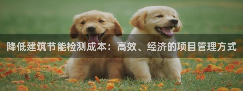 e尊国际app：降低建筑节能检测成本：高效、经济的项目管理方式