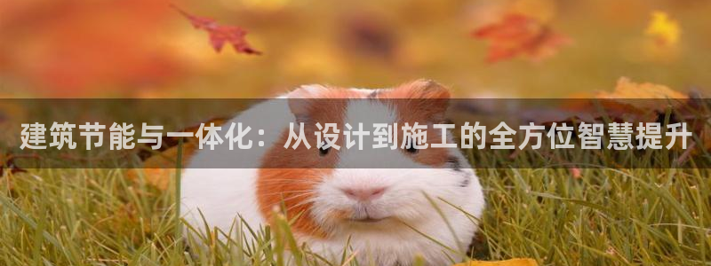 e尊国际-可可计划：建筑节能与一体化：从设计到施工的全方位智慧提升