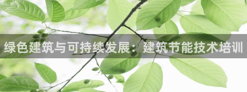 e尊国际客服：绿色建筑与可持续发展：建筑节能技术培训