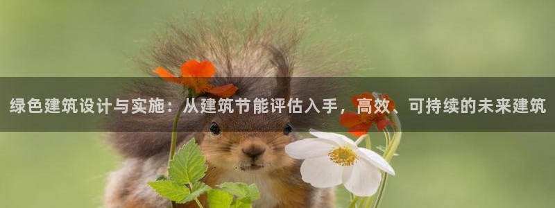 e尊国际官网·网址：绿色建筑设计与实施：从建筑节能评估入手，高效、可持续的未来建筑