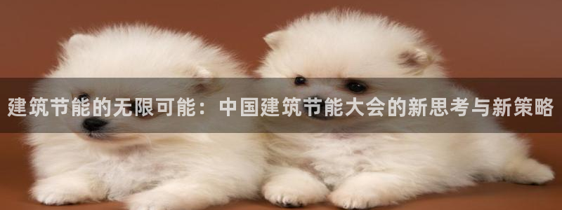 e尊国际-e尊国际官网：建筑节能的无限可能：中国建筑节能大会的新思考与新策略