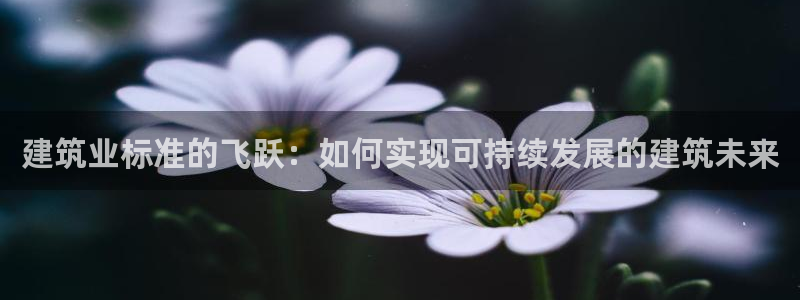 e尊国际-e尊国际官网：建筑业标准的飞跃：如何实现可持续发展的建筑未来