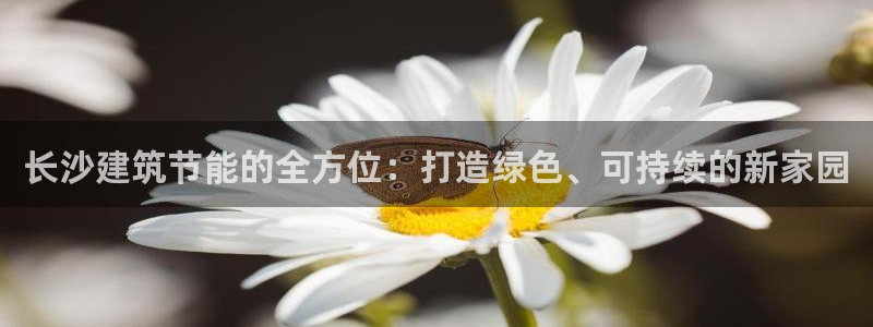 e尊国际客服：长沙建筑节能的全方位：打造绿色、可持续的新家园