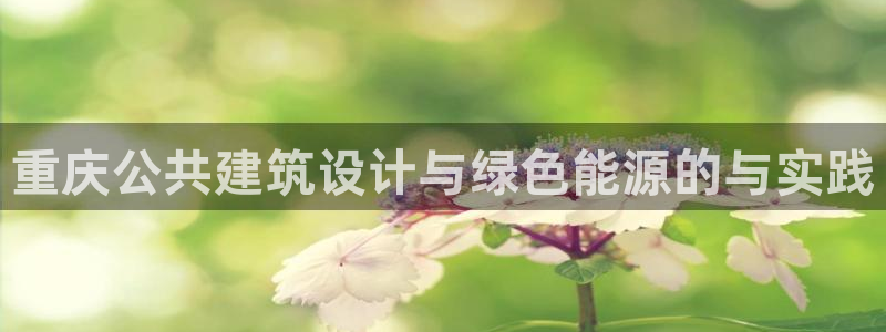 e尊国际app：重庆公共建筑设计与绿色能源的与实践