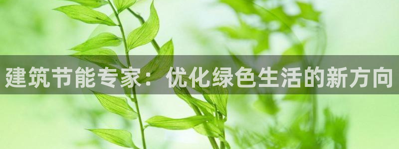 e尊国际客服：建筑节能专家：优化绿色生活的新方向