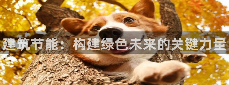 E尊国际：建筑节能：构建绿色未来的关键力量