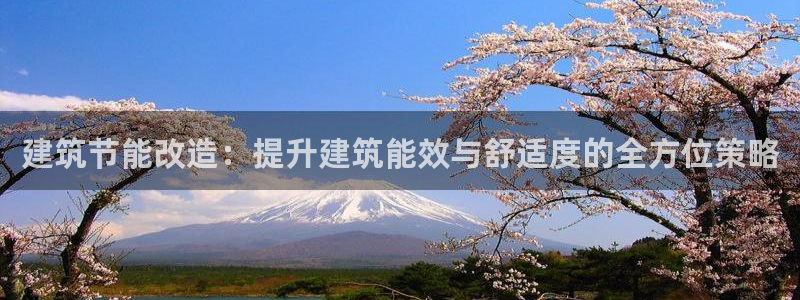 e尊国际是干什么的