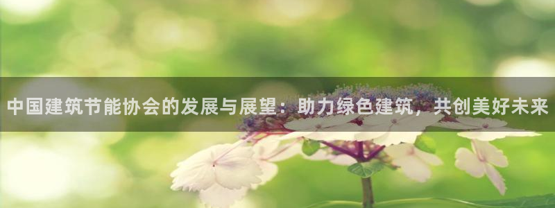 谁知道e尊国际的网址