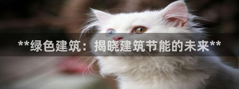 e尊国际是干什么的