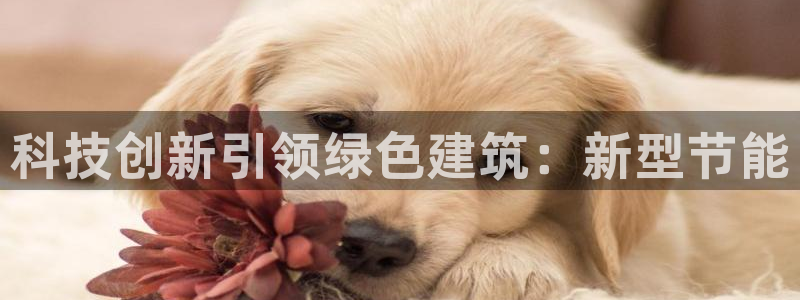 e尊国际娱乐官网地址：科技创新引领绿色建筑：新型节能