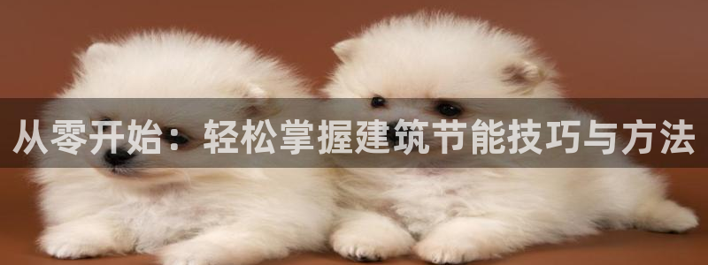 尊亿娱乐国际官网：从零开始：轻松掌握建筑节能技巧与方法