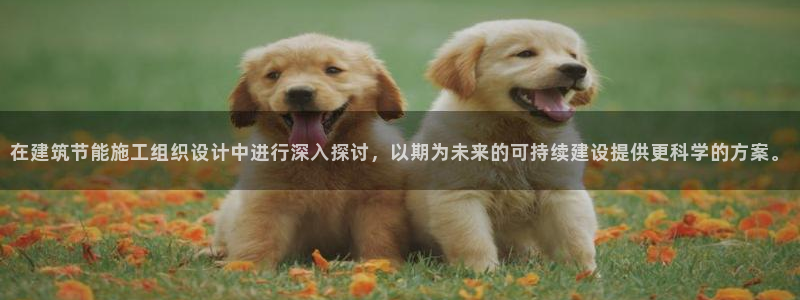 e尊国际客户端：在建筑节能施工组织设计中进行深入探讨，以期为未来的可持续建设提供更科学的方案。