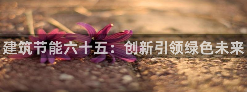 e尊国际-e尊国际官网：建筑节能六十五：创新引领绿色未来