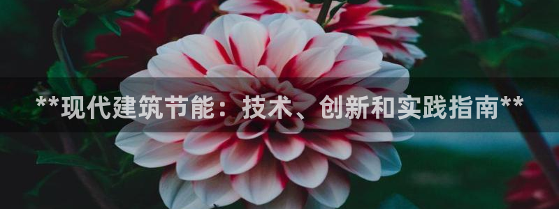 e尊国际是干什么的：**现代建筑节能：技术、创新和实践指南**