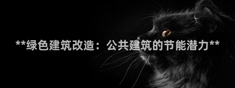 e尊官网：**绿色建筑改造：公共建筑的节能潜力**