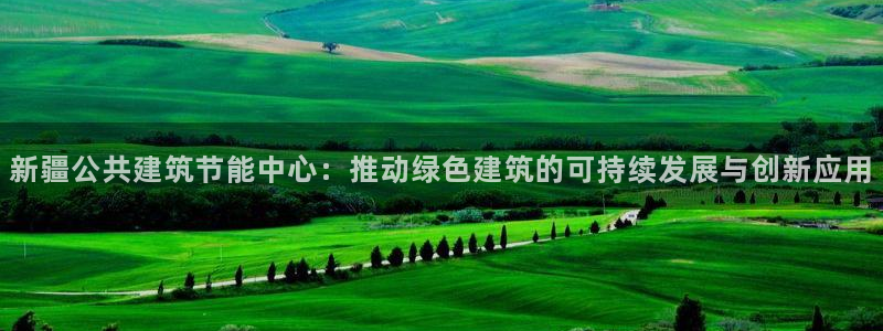 e尊国际地址：新疆公共建筑节能中心：推动绿色建筑的可持续发展与创新应用