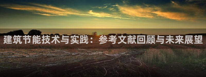 e尊国际官网app：建筑节能技术与实践：参考文献回顾与未来展望
