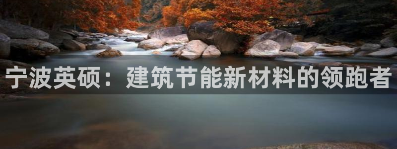 e尊国际平台：宁波英硕：建筑节能新材料的领跑者