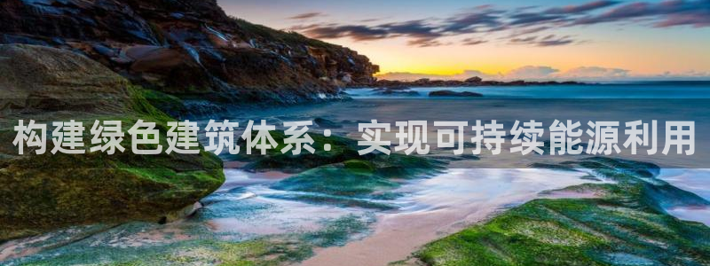 e尊国际-可可计划