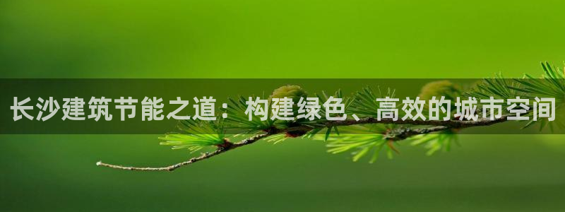 e尊国际娱乐官网地址：长沙建筑节能之道：构建绿色、高效的城市空间