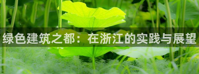 e尊国际官网·网址：绿色建筑之都：在浙江的实践与展望