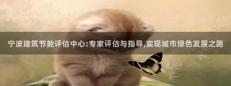 谁知道e尊国际的网址：宁波建筑节能评估中心:专家评估与指导,实现城市绿色发展之路