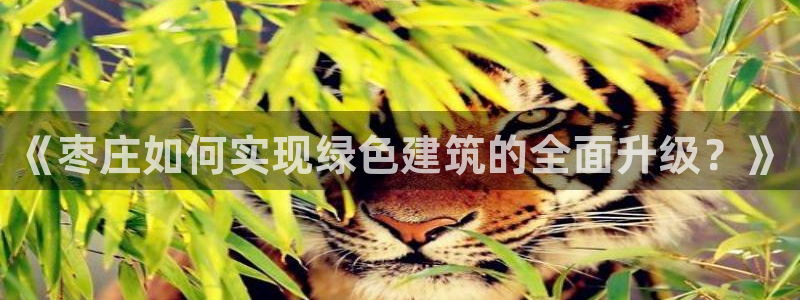 e尊国际-e尊国际官网：《枣庄如何实现绿色建筑的全面升级？》