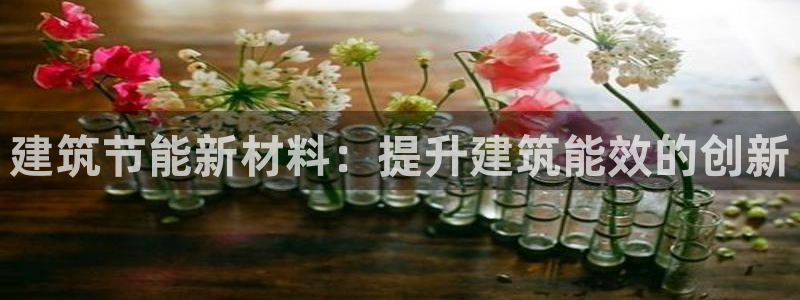 e尊国际客服：建筑节能新材料：提升建筑能效的创新