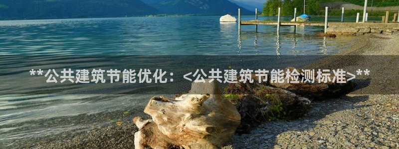 e尊国际娱乐官网地址：**公共建筑节能优化：<公共建筑节能检测标准>**