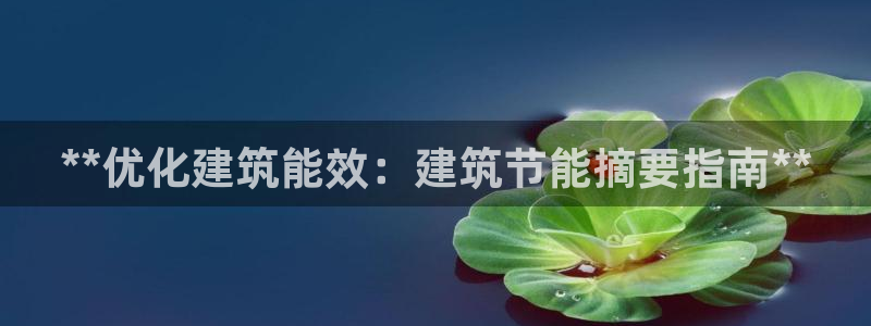 e尊国际官网：**优化建筑能效：建筑节能摘要指南**