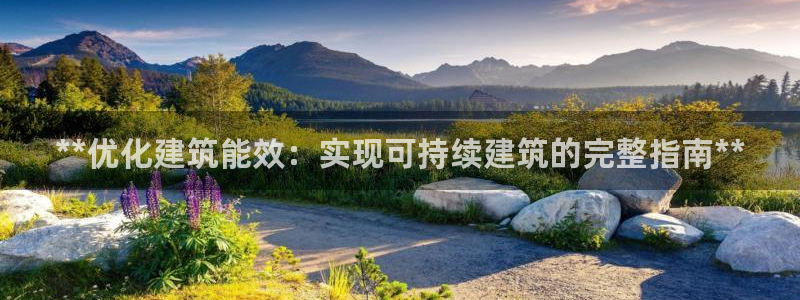 e尊电竞：**优化建筑能效：实现可持续建筑的完整指南**