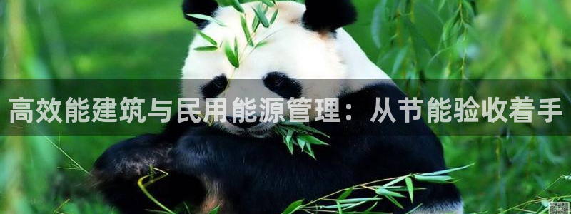 谁知道e尊国际的网址