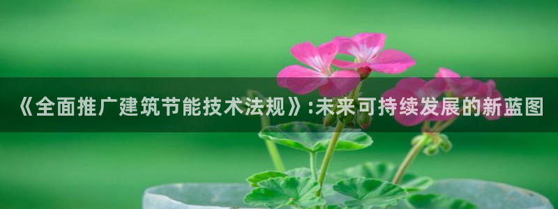 e尊国际官方网站：《全面推广建筑节能技术法规》:未来可持续发展的新蓝图