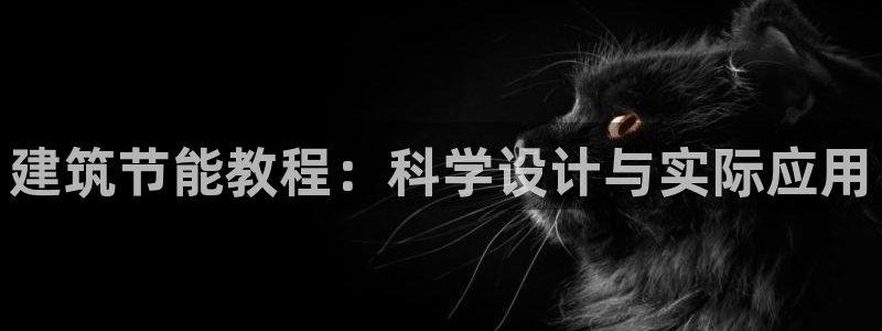 e尊国际是干什么的：建筑节能教程：科学设计与实际应用